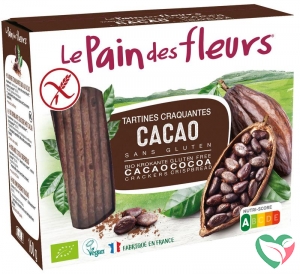 Pain Des Fleurs Krokante bio crackers met cacao bio